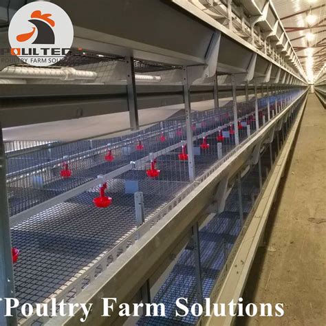 Image result for Battery Brooder