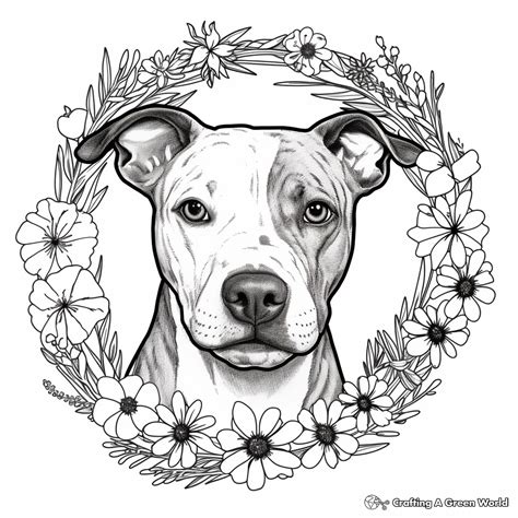 Printable Pitbull Dog Coloring Pages