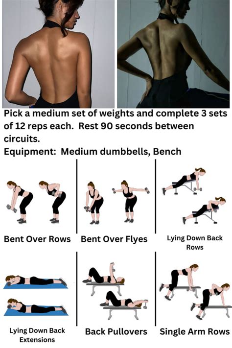 Image result for Workout Back Routine