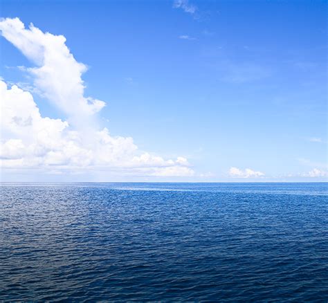 Solar Tech 的图像结果