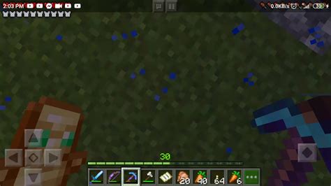 Auto Chicken Farm Java 的图像结果