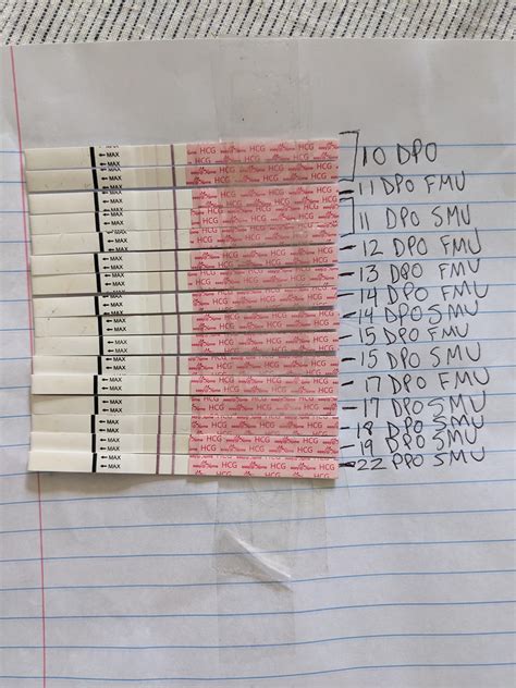 Any cause for concern? Easy@Home tests stalled after dye stealer at 19 ...