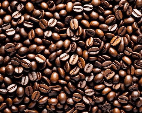 How Is Coffee Processed 的图像结果