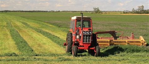 Image result for Implement