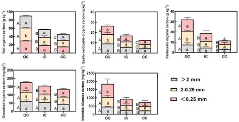 Long-Term Organic Cultivation in Greenhouses Enhances Vegetable Yield ...