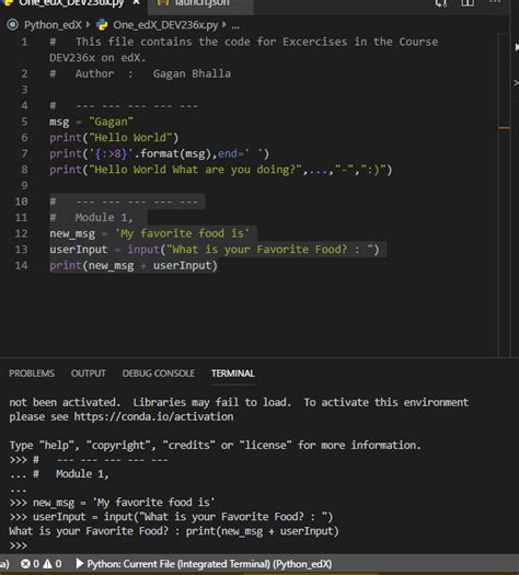 Image result for Terminal Error in Python