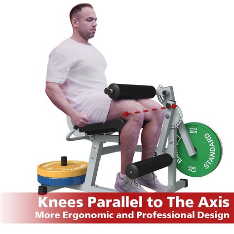 Image result for Hamstring Machine