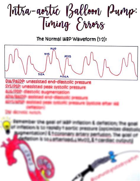 Image result for IB/AP Correct Timing
