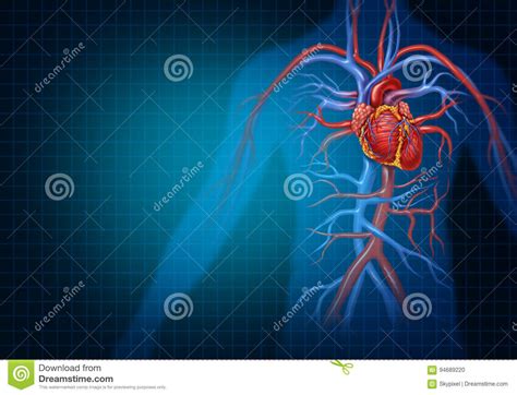 心脏病学和心血管心脏概念 库存例证. 插画 包括有 - 94689220