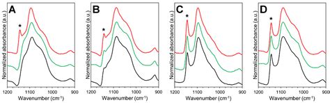 Bi-Layered Polymer Carriers with Surface Modification by ...