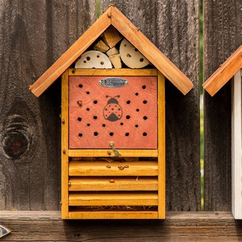 Lady Bug House - Beneficial For Garden