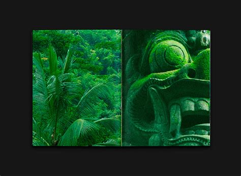 Image result for Visual Guide Catalog