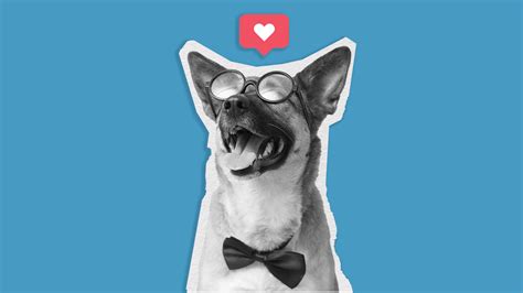 Image result for How to Use Facebook Analytics