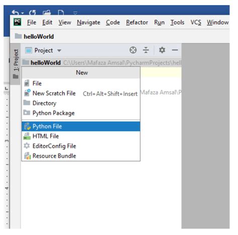 Image result for How to Write a Python Code
