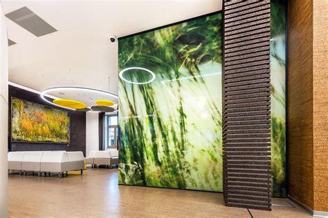 Glass partitions and acoustic panels in MIND clinic | Partitions and ...