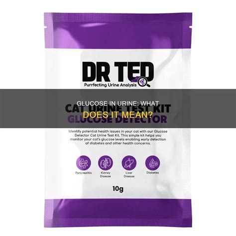 Glucose In Urine: What Does It Mean? | MedShun