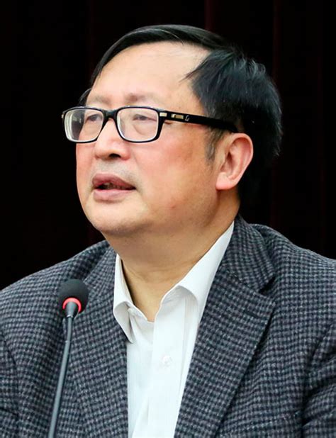 Prof. Yang Jiemian - The India China and America Institute