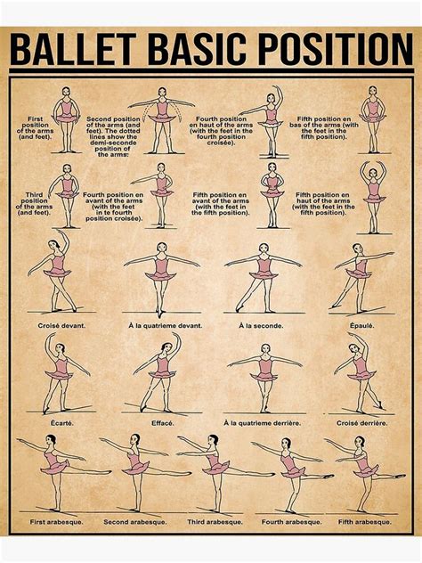 Image result for Ballet Tutorial Basic Positions