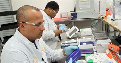 Suniva: Gwinnett solar panel maker files bankruptcy