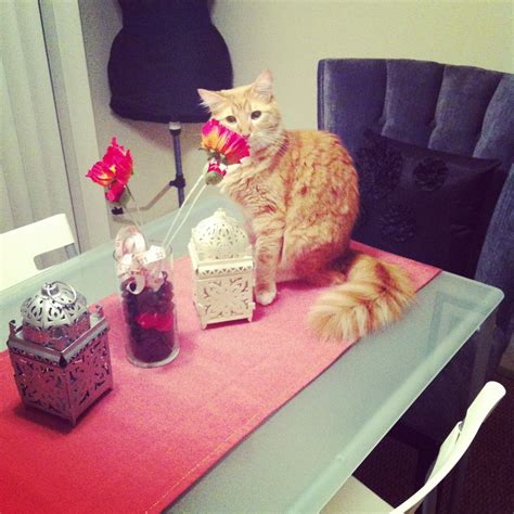 Image result for Making Small Table Runner