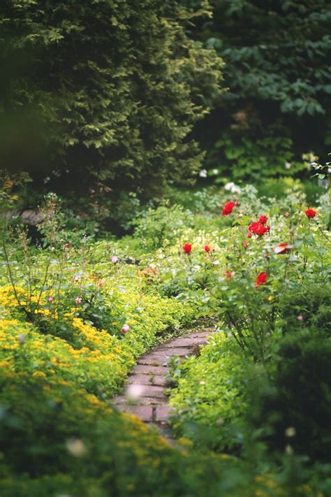 The best plants for improving indoor air quality - Pro Media Buzz