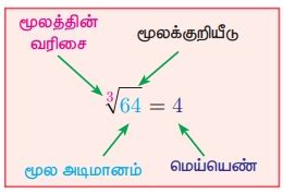 மூலக்குறியீடு (Radical Notation) - மெய்யெண்கள் | கணக்கு | Radical ...