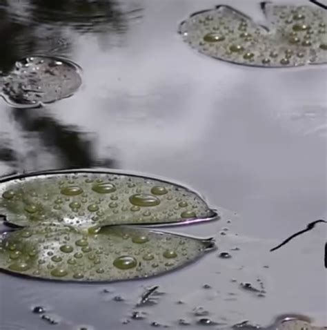 Late season atmospheric river arrives in Oregon : r/PortlandOregon