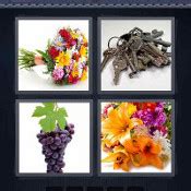 5 Letters | 4Pics1Word Solutions - Part 8