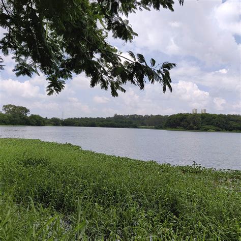 Catch A Sunset Or Sunrise At Hebbal Lake | LBB, Bangalore