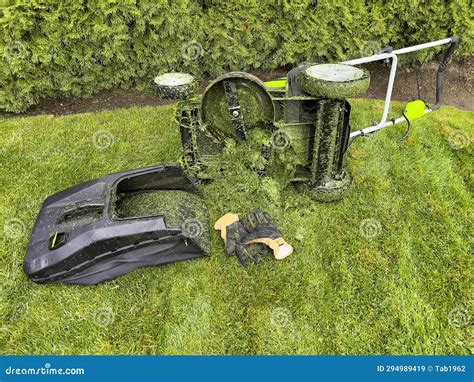 Electric Battery Lawn Mower Having Difficulty Cutting Wet Grass Stock ...
