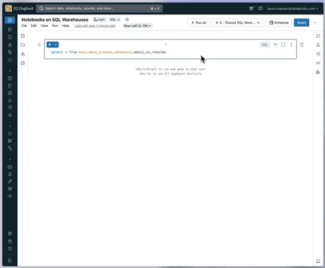 Databricks Notebooks Examples 的图像结果