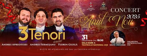 Concert de Anul Nou, Teatrul Naţional "Vasile Alecsandri" Iaşi, Iasi ...