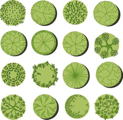 TreePlan 的图像结果