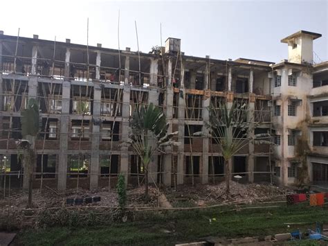 Image result for Pile Integrity Test