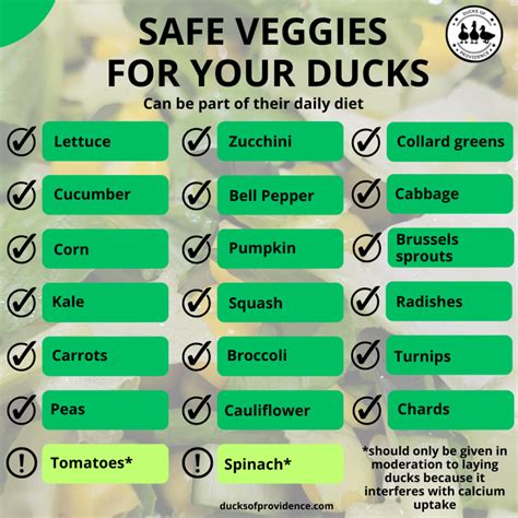 The Ultimate Guide to Healthy Duck Snacks: Treats Your Ducks Will Love