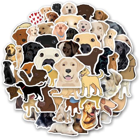 Image result for Database Type Client Database