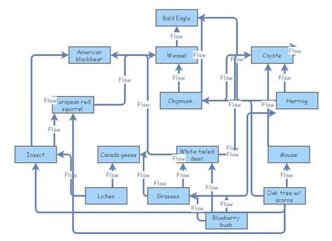 Image result for Create a Food Web