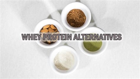 Whey Protein Alternatives: Explore The Available Options - Supplements Uncovered