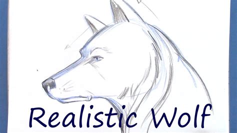 Image result for Wolf Tutorial