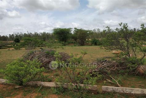 Residential Plots/ Lands For Sale in Shamshabad Hyderabad | 568+ Plots ...