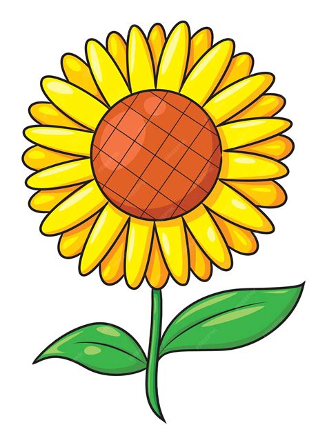 Sunflower cartoon | Premium Vector