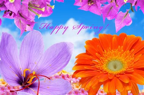 Image result for Friday Spring Time