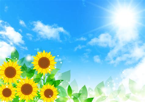 Image result for Note Notepad Notepad