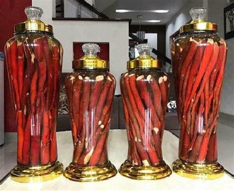 Được sử dụng trong y học cổ truyền để điều trị một số bệnh lý.