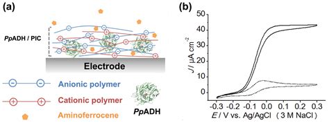 Immobilization of Pyrroloquinoline Quinone-Dependent Alcohol ...