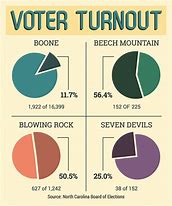 Image result for Voter Turnout