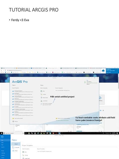 Esri.ArcGIS Pro Tutorial 的图像结果