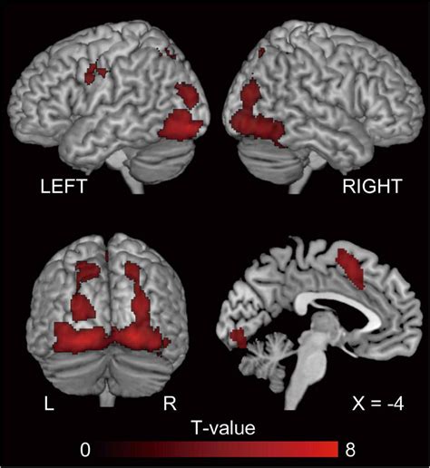 Image result for Semantic Encoding Example