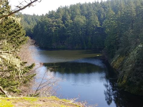 Anacortes Community Forest Lands - Whistle Lake — Washington Trails ...