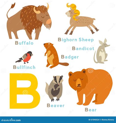 B Letter Animals Set. English Alphabet. Stock Vector - Illustration of ...